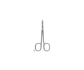Delicate Scissors